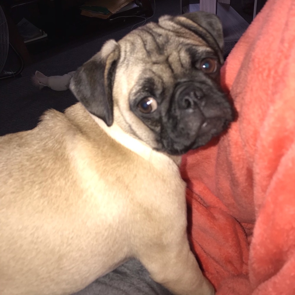 Meet your Posher, Tina